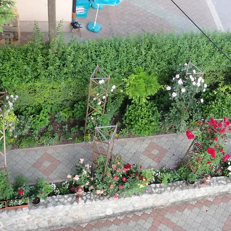 Apartament Aura *